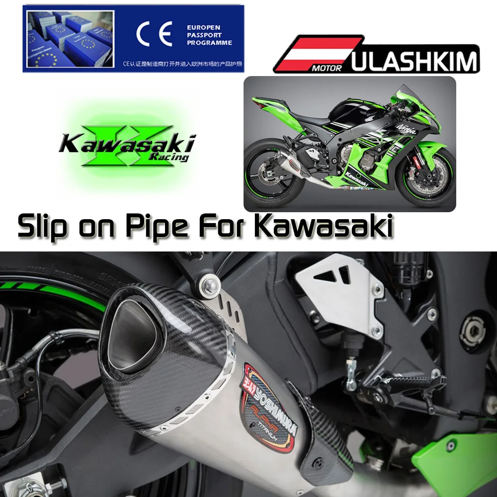 Silp On For KAWASAKI ZX-10R / RR Race ALPHA T Cat-Eliminating Titanium / Carbon Exhaust System