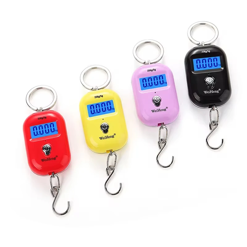 25kg/5g Portable Hanging Scale Mini LCD Digital Scale for Fishing Luggage Travel Weighting Keychain Hanging Electronic Scale