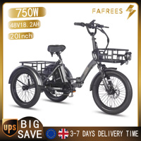 FAFREES F20 Mate Adult E-Tricycle Three Wheels Electric Bicycles 750W 110KM Powerful Electric Bike With Removable Battery