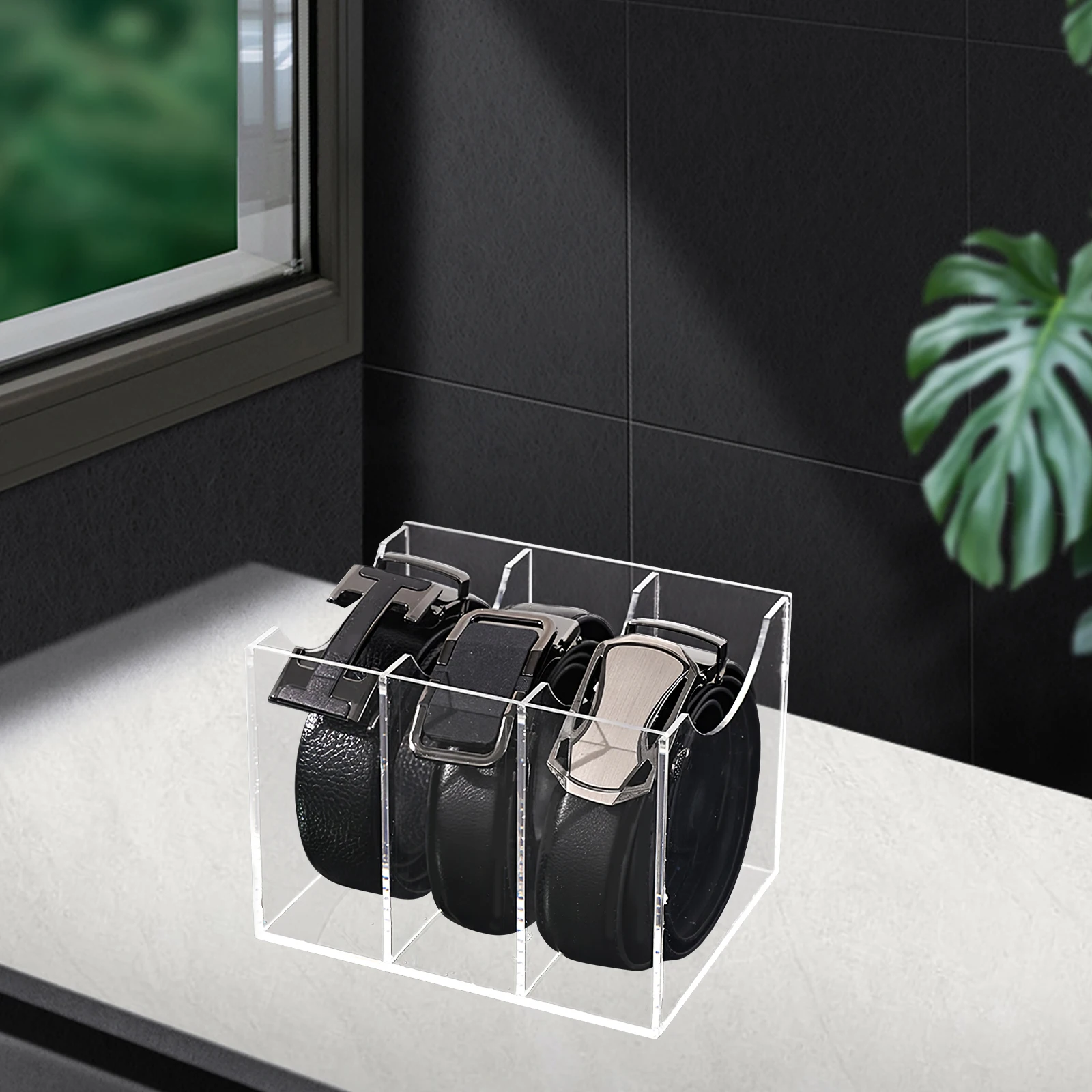 

Belt Storage Box Organizer Clear Sections Compact Design Desktop Makeup Holder Plastic Container Tie Display Case
