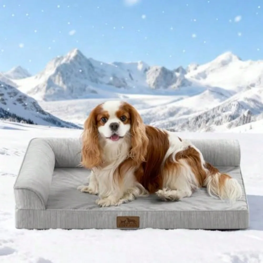 

Dog Bed With Sides Removable Cover And Waterproof Lining And Nons Bottom Comfortable Pet Beds For Dogs Grey