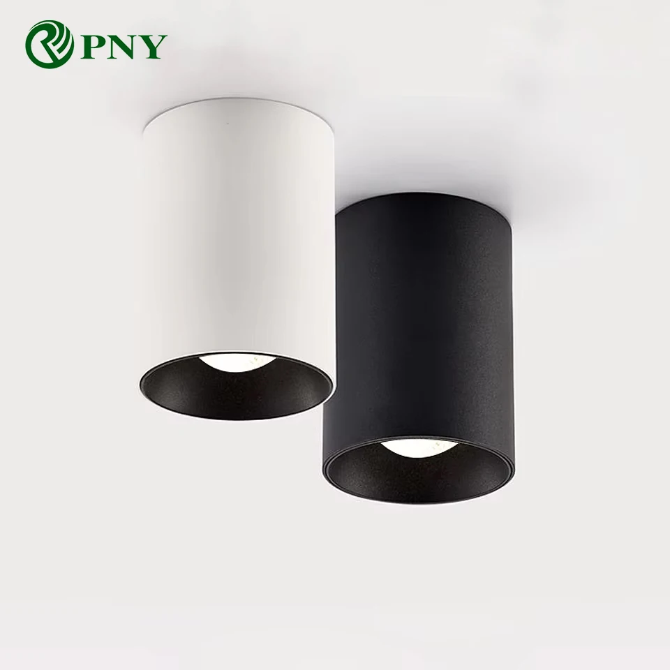 

PNY High Quality LED Downlight Dimmable DALI Light Triac 0-10V Smart Ceiling Spotlight 15W 25W 33W Surface Mounted Down Lights