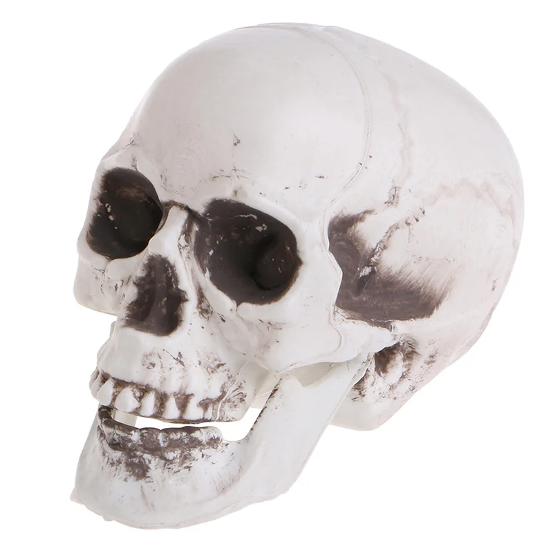 Plastic Human Mini Skull Decor Prop Skeleton for Head Halloween Coffee Bars Orna