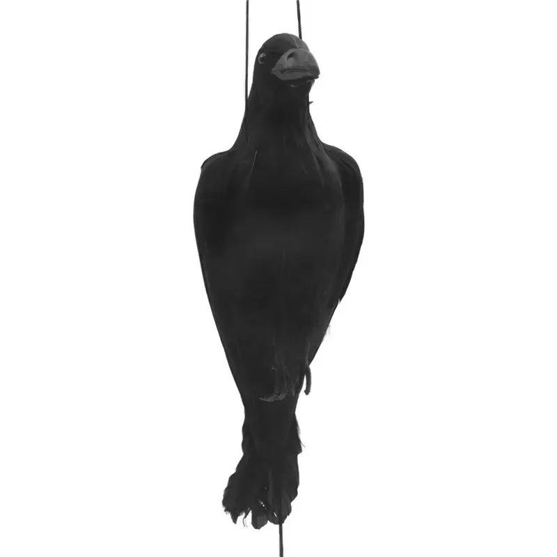 A02M-Realistic Hanging Dead Crow Decoy Lifesize Extra Large Black Feathered Crow
