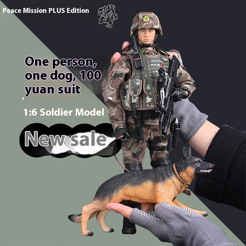 

New Peace Mission PLUS Edition 1:6 Scale Collectible Action Figure Chinese LU Military Articulated Joint Model Toy