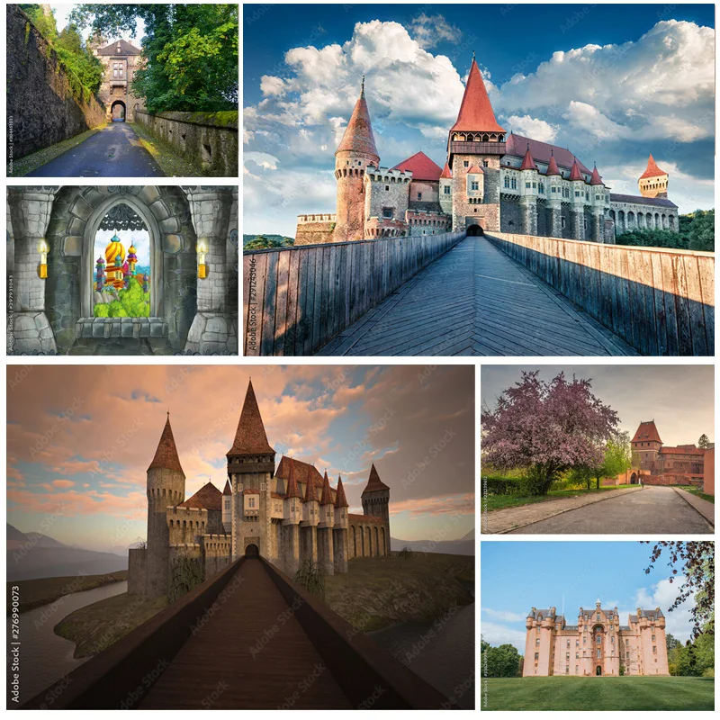 

Natural Scenery Photography Background Landscape Travel Castle Photo Backdrops Studio Props 211226 CB-04