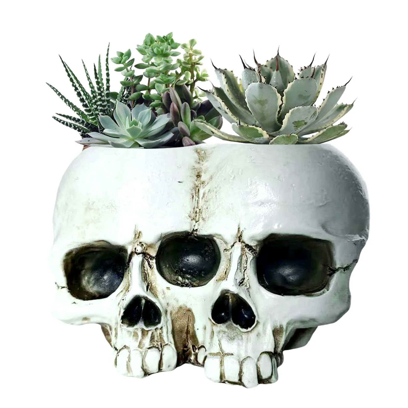 Decorative Skull Planter Spooky for Home Garden Halloween Resin Pot Gothic Holder Outdoor Plant Decor Durable