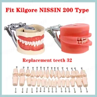 Modelo de dientes dentales con 32 dientes atornillados, Compatible con Kilgore Nissin 200, dientes de repuesto, dientes de resina para odontología