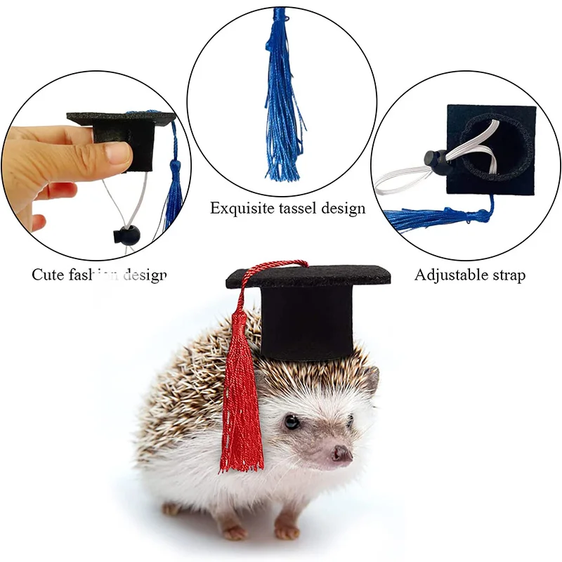 Small Animal Graduation Caps Mini Bachelor Hat with Tassel Cute Pet Hats Bowtie for kitten Hamster Photo Props Costume Accessory