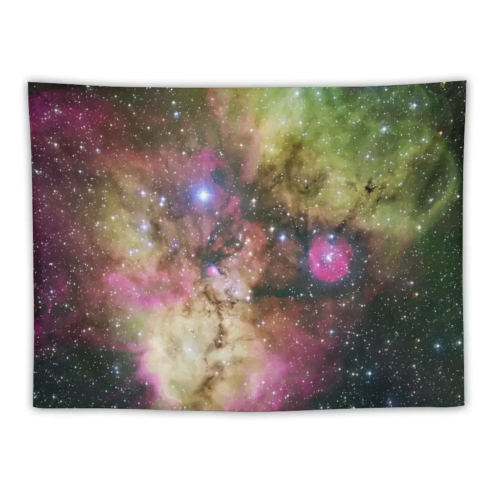 Skull and Crossbones nebula NGC 2467 and surroundings purple and green stars ESO Space Telescope Picture HD HIGH QUALIT Tapestry