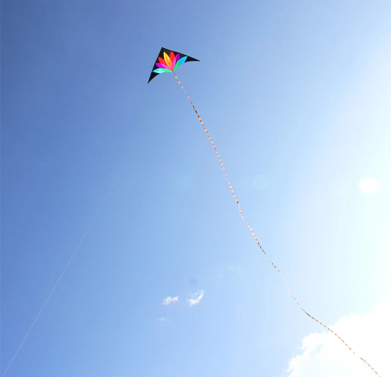 Cometa delta arcoíris de 2m para niños, pipas con cola de 10m, juguete para niños, fábrica de cometas weifang, puf de viento, paleta meteorológica, dragón de papel