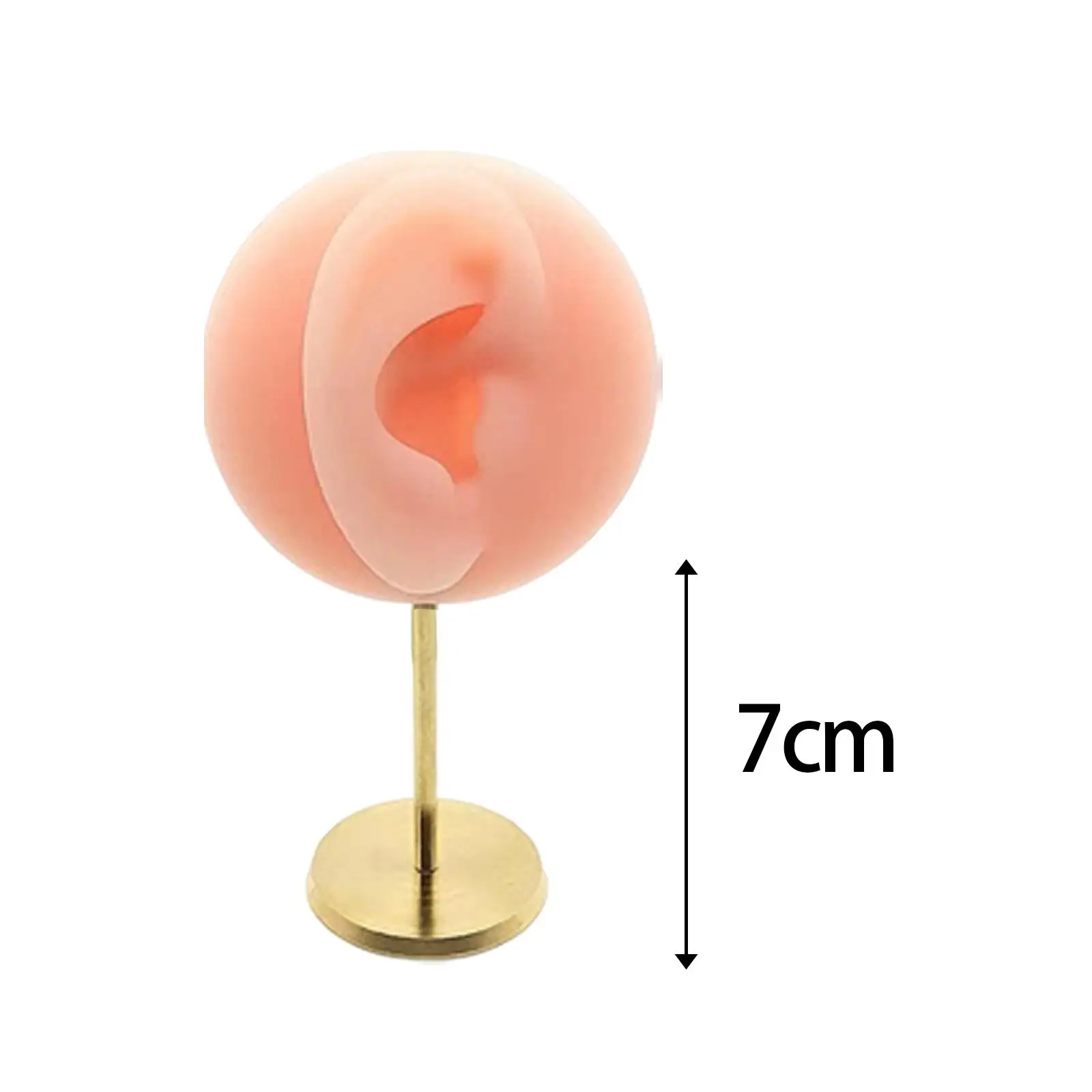 Silicone Earring Stand Holder with Simulated Ear Model for Jewelry Display Photography Props Organizer Tabletop Rack