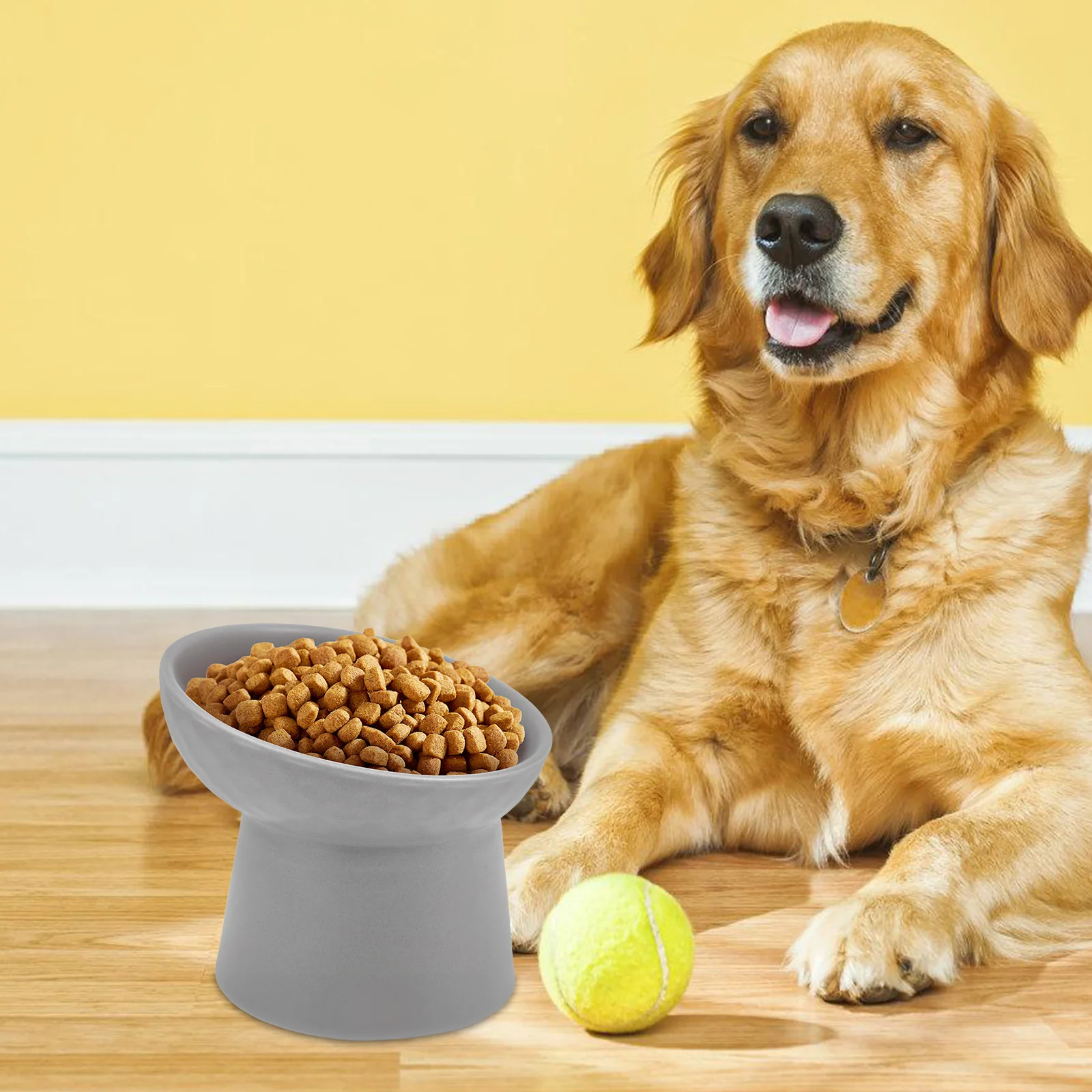 

Ceramic Pet Bowl Grey Color Ergonomic Elevated Design for Cat Dog Daily Use Microwave Dishwasher Safe Non Slip Promotes