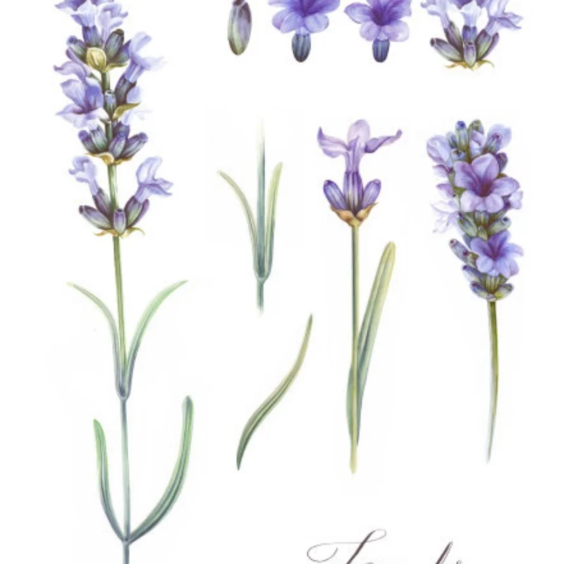 26Pcs 1/76 Road Bar… - image