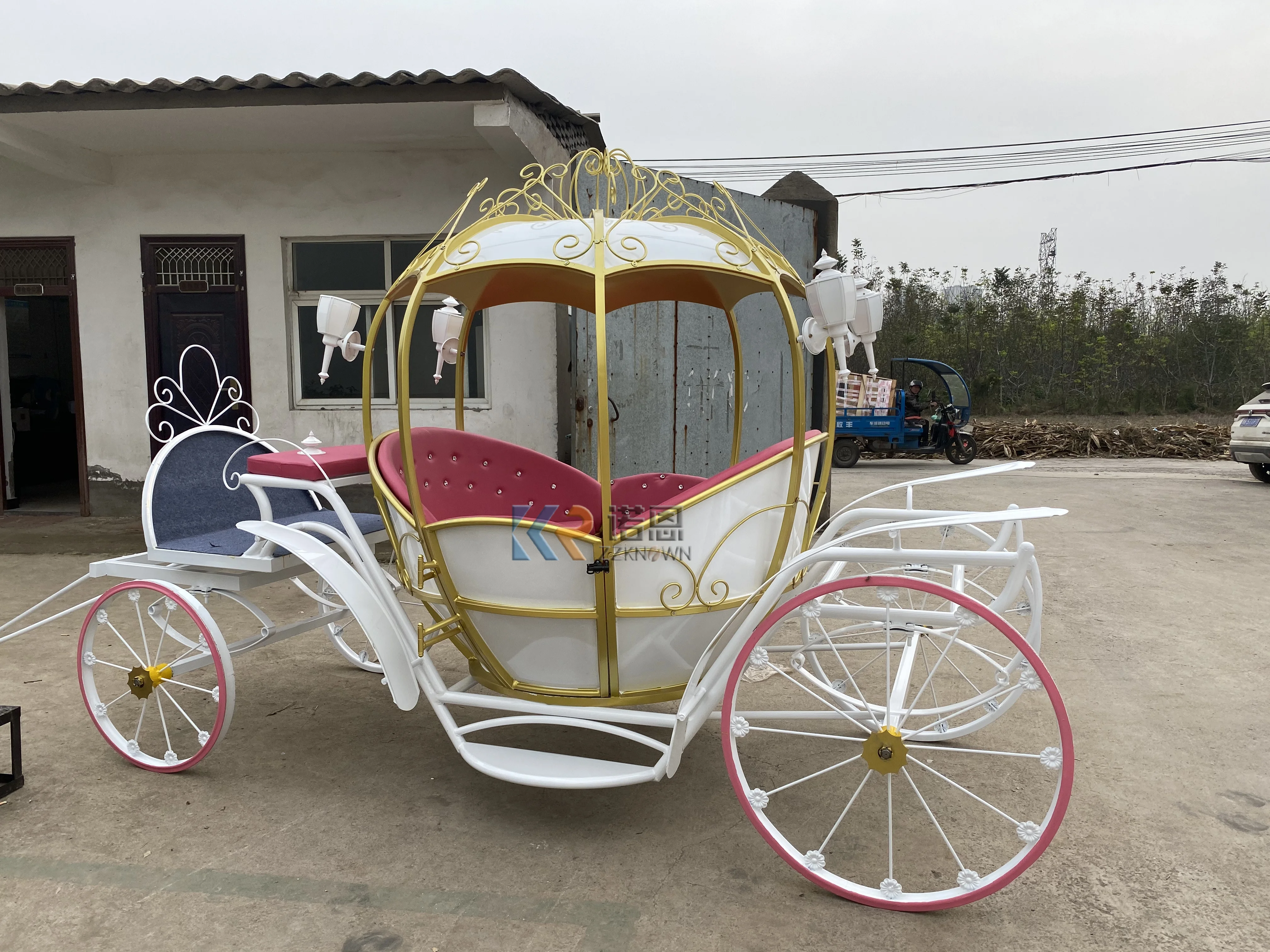 Электрическая тележка для осмотра лошадей, каретка принцессы, специально для транспортировки Золушки, для свадьбы, королевская лошадь