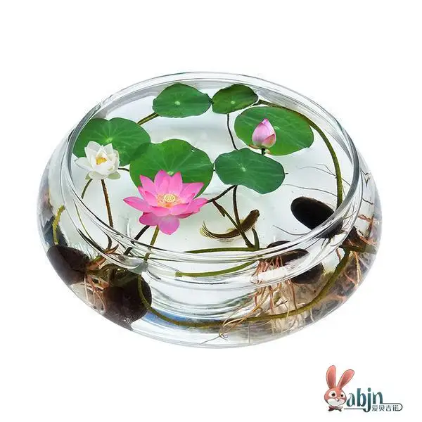 

Современные стекловолоконные кашпо Simplici для гидропоники, выращивания трав, аквариумов и цветочных композиций в гостиной