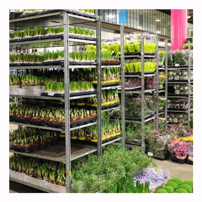 Newest Design Greenhouse Garden Rolling Nursery Plant Transport Metal Racks Carts