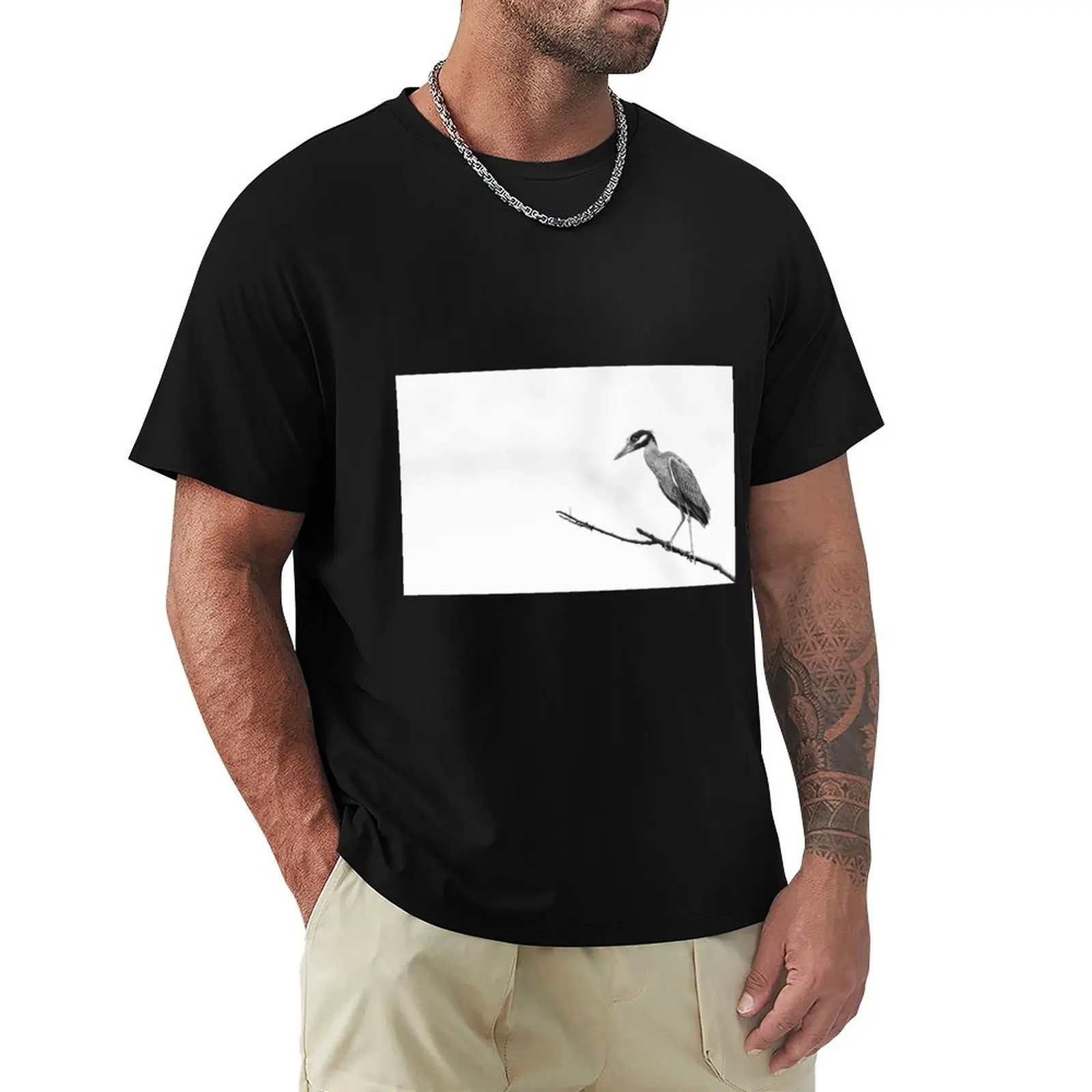 

Yellow-crowned night heron T-Shirt Plus Size Comfort Fit Tee