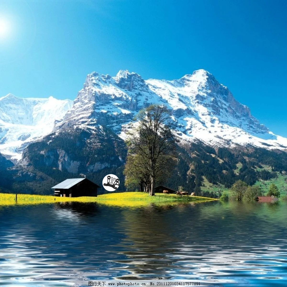 

Алюминиевые рулевые рычаги GPM 7075 и рулевой мост для TAMIYA 1/10 XV-02 Pro