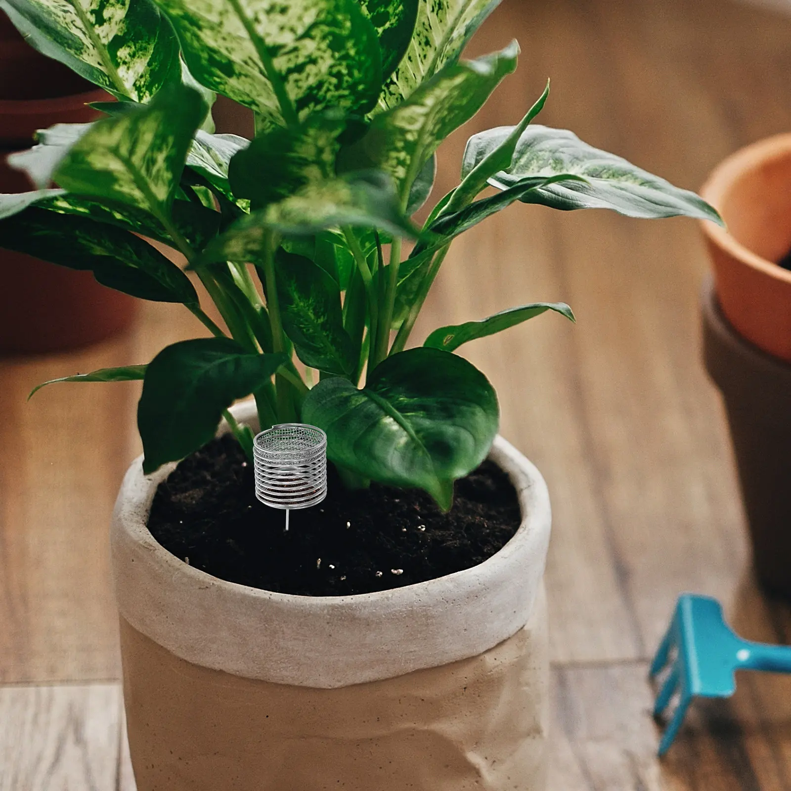 

Набор из 6 многоразовых контейнеров для медленного высвобождения удобрений из нержавеющей стали для бонсай, аксессуары для садоводства и посадки