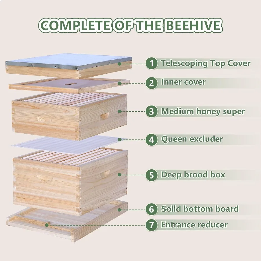 10 Frame Bee Hive, Compelte Bee Hive Starter Kit Includes 1 Deep Brood Honey Bee Hives Box, 1 Medium Super Bee Box with Beehive