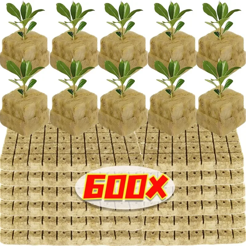 Wholesale Planting Sponge Stone Plugs Rockwool Hydroponic Soilless Grow Cubes Greenhouse Plant Starter Cube Plug Garden Supplies