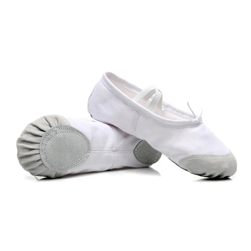 

Soft Sole Ballet Dance Shoes Professional 5 colors Ballerina Shoes Non-slip Wear Resistant Adult Dance Slippers for Women