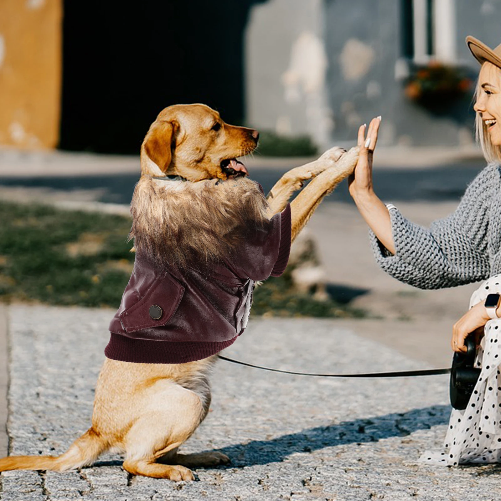 

Warm Dog Jacket Pet Clothes Winter Outfit Red Stylish Puppy Costume Comfortable Apparel Warmth Windproof Dog's Fashionable