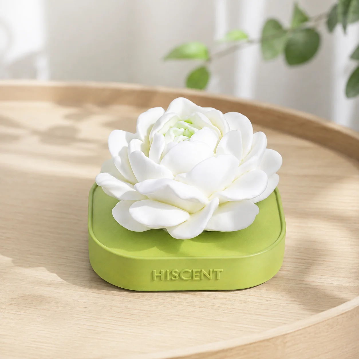 Plaster Aroma Stone Essential - Home Fragrance Diffuser ulasan dan harga