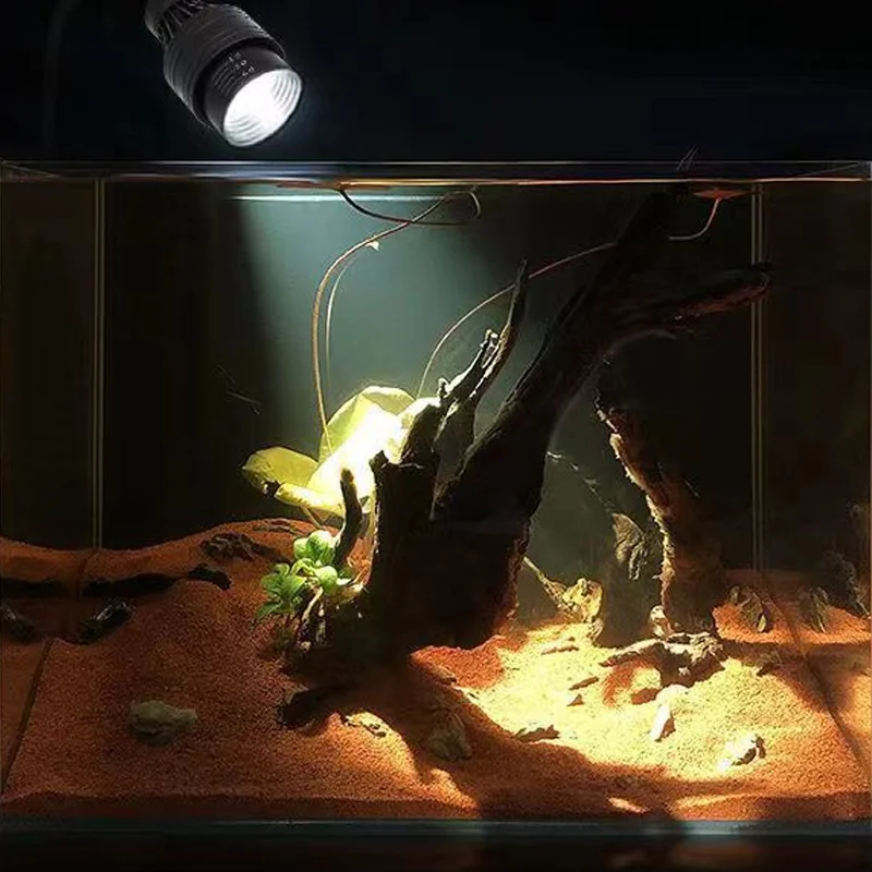 

Aquarium Focus LED Spotlight with Aluminum Alloy Timer for Aquatic Plants Algae Explosion Landscape Accessory