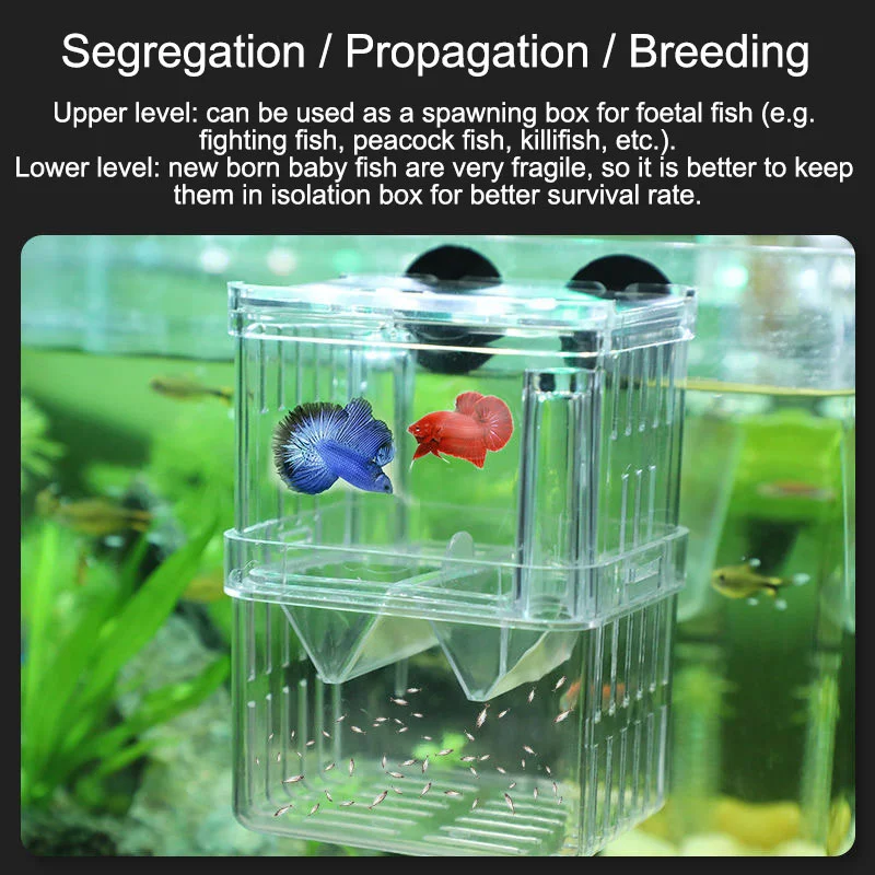 1PCS Peacock Fish Breeding Box Fish Aquarium Acrylic Isolation Box Fish Tank Hatchery Incubator Breeder Box Aquarium Supplies