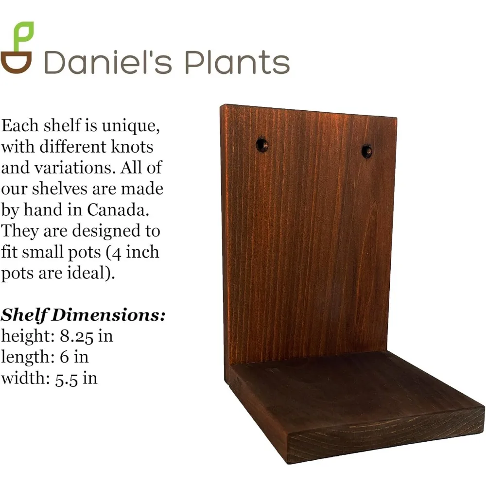 شاشة حائط نباتية داخلية مع حواف خشبية حديثة في منتصف القرن |   نظام أرفف نباتية مثبت على الحائط على شكل حرف L #5