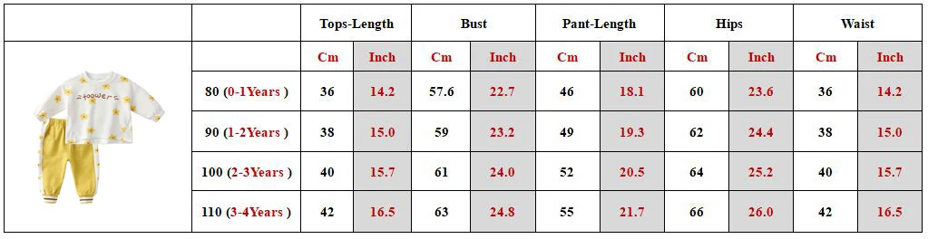 1 2 3 4Year Girl Clothes Suit Flower Design Pullover Sweatshirt Casual Two Piece Kid Costume Autumn Long Sleeve Baby Outfit A504