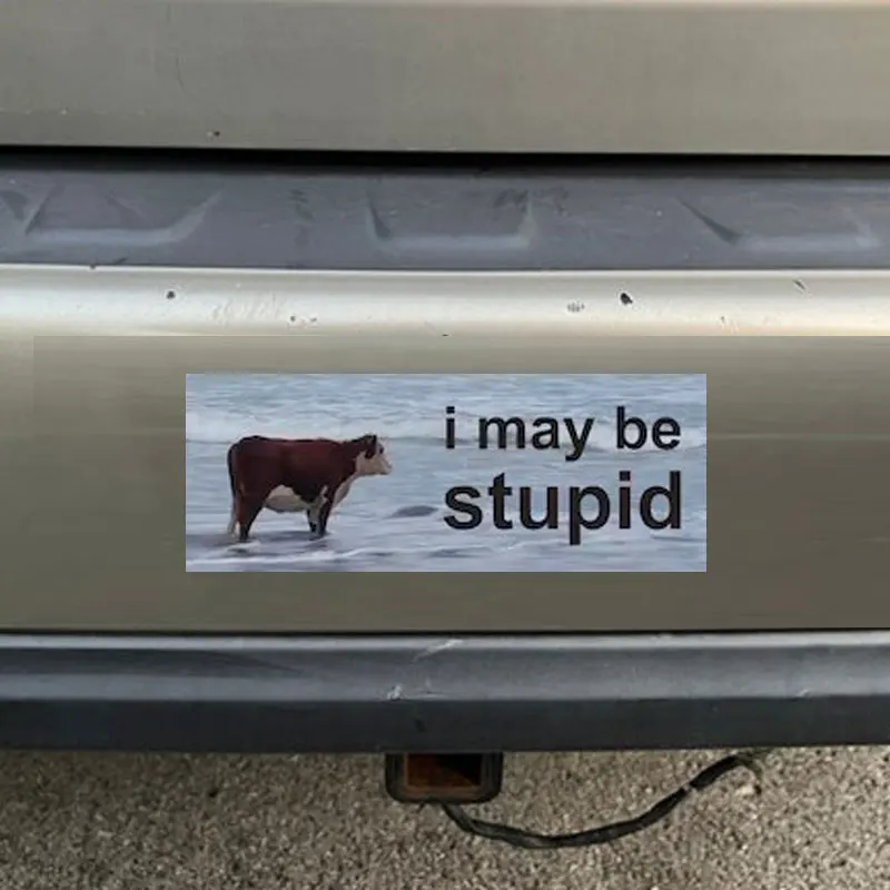 I May Be Stupid Joke Car Stickers, Funny Bumper Sticker For Window Windshield Accessories, Waterproof Vinyl Decals Driver Gift