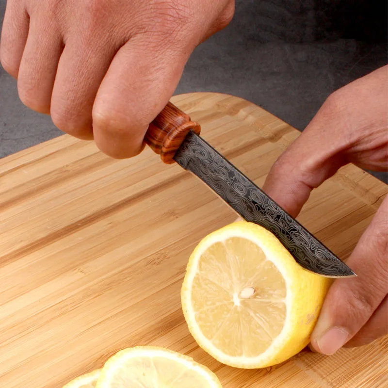 Damascus Pattern Kitchen Knives Boning Paring Knife Meat Cleaver Barbecue Cutting Fishing Fruit Utility Knife Cooking Tools