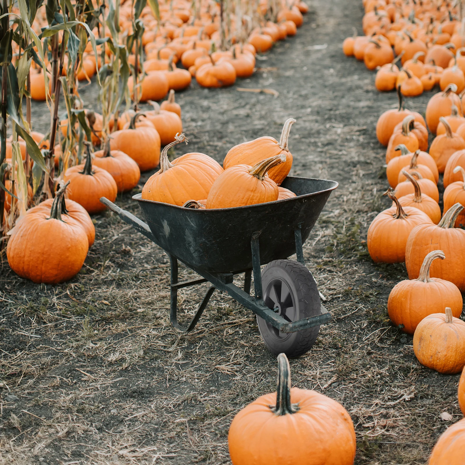 

Rubber For Hand Truck Garden Cart Wheel Replacement Durable Solid Trolley Wheel Lawn Mower Wagon Accessories Tool Parts