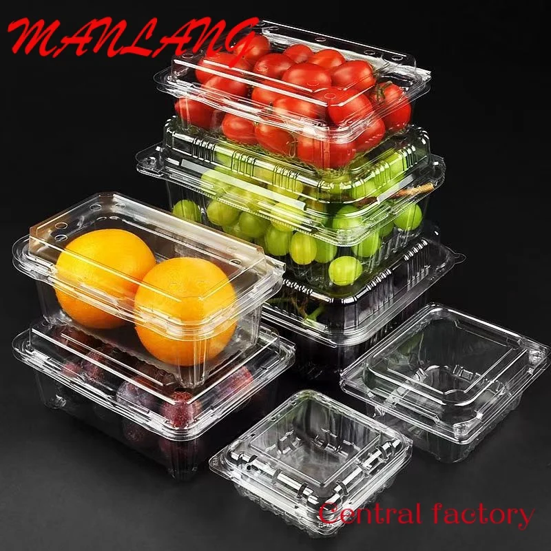 Custom  Custom transparent food container PET disposable plastic clamshell vegetable fruit packaging box for grape lychee cherry