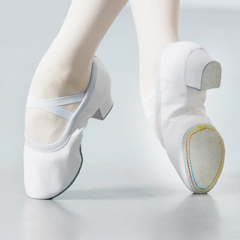 القماش الطبيعي أحذية رقص الباليه للنساء كعب متوسط لينة الجاز السالسا أحذية رقص أحذية رياضية للفتيات أحذية اليوغا #6