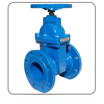 DN40-DN1200 BS 5163 بوابة صمام صمام البوابة المرنة #5