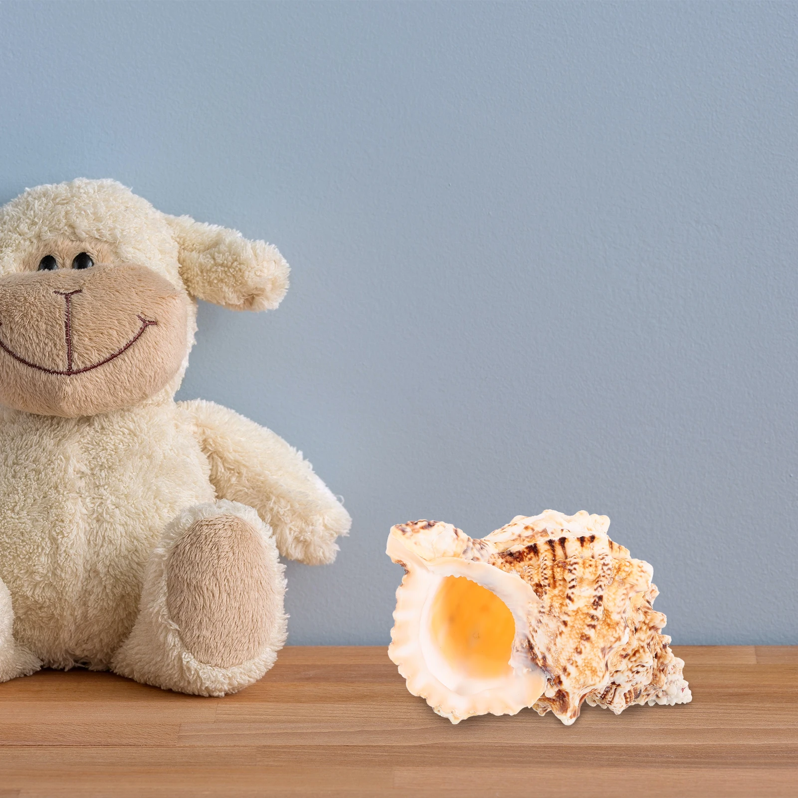 

Large Natural Conch Shell Decor For Fish Tank Aquarium Home Wedding Craft Diy Desktop Exquisite Conch Adorn