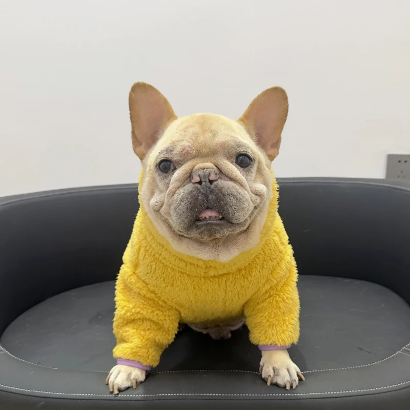 

Одежда для собак-мопсов, зимняя одежда для французского бульдога, комбинезон, корги, вест-хайленд-уайт-терьер, костюм для собаки Шиба-ину, одежда для домашних животных