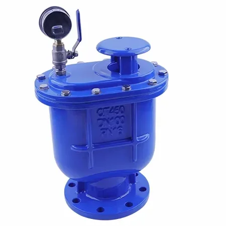 CARX Quick Air Release DN25-200 Manual Ductile Iron Composite Exhaust Valve Flange Water Control Diaphragm Structure 1.0-1.6Mpa