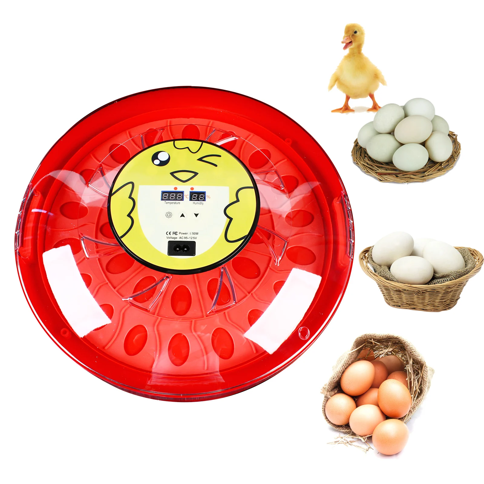 30 Egg Incubator with Automatic Egg Turning, Digital Incubator for Hatching Chicken Eggs with Humidity and Temperature