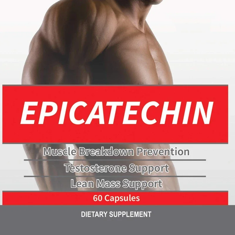 EPICATECHIN - Maximizing Muscle Growth - Increasing Protein Synthesis, Gain, and Lean Muscle