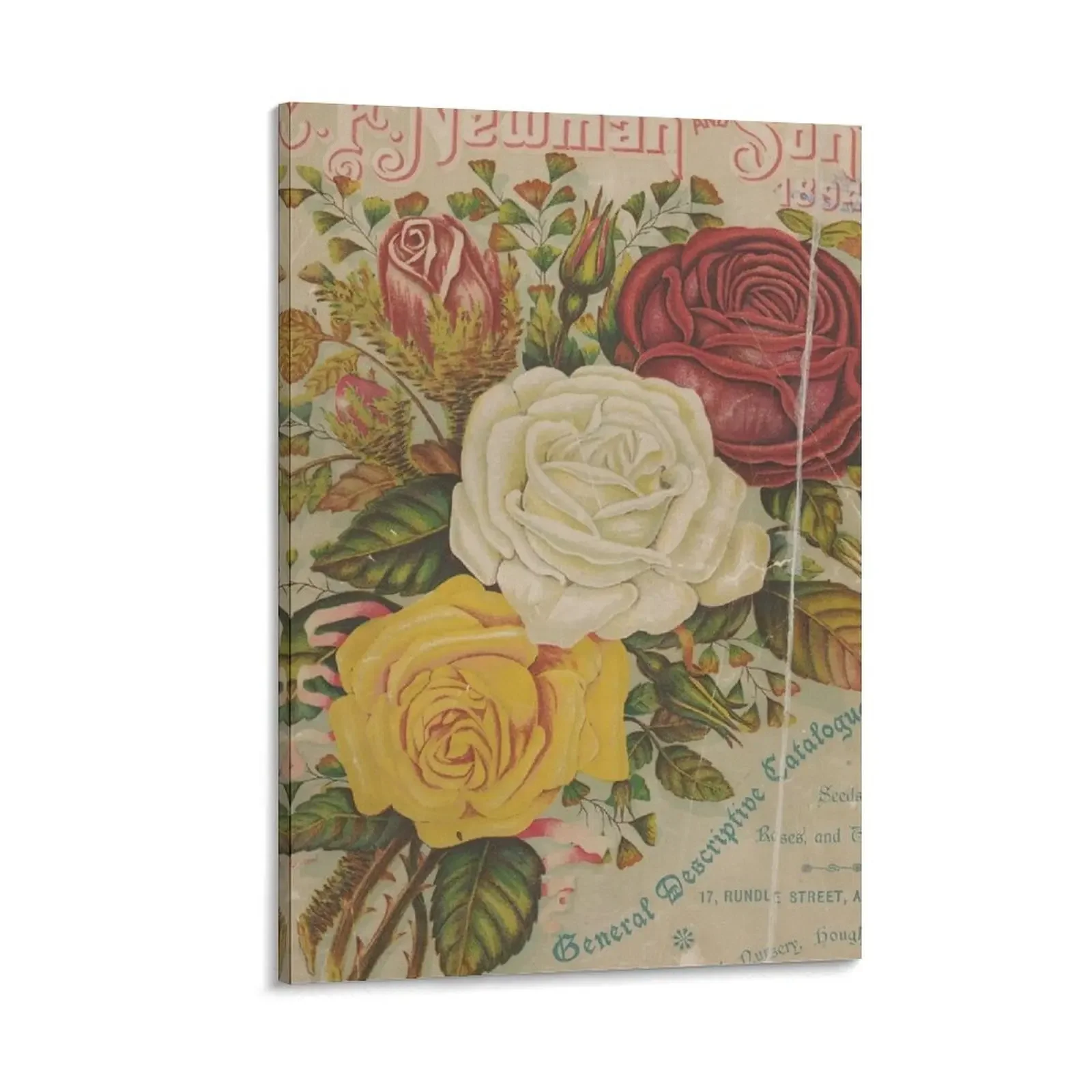 

C. F. Newman and Son Catalogue, 1893 Canvas Painting office decoration decorative items for home home decoration luxury painting