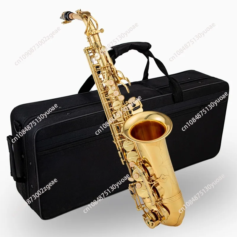 E-Flat Alto Saxophone for Beginner, Gold Wind Instrument, Adult Test