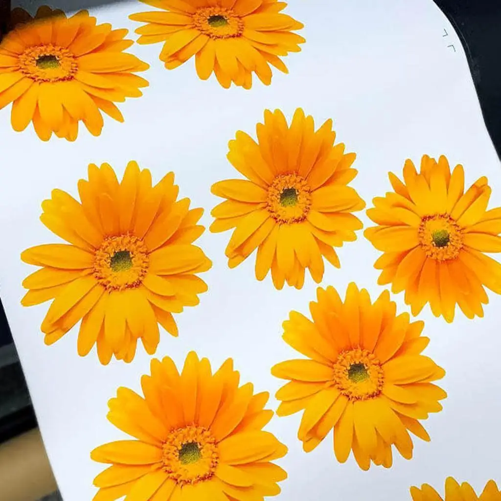 printable-vinyl-sticker-paper-white-matte-self-adhesive-pu-waterproof-decal-for-t-shirts-bags-and-paper-material