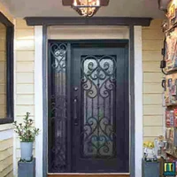 Customized Door DepositEntrance Elegant Steel Fire Patio Doors Flat Double Or Single With Sidelights For Home Window 3