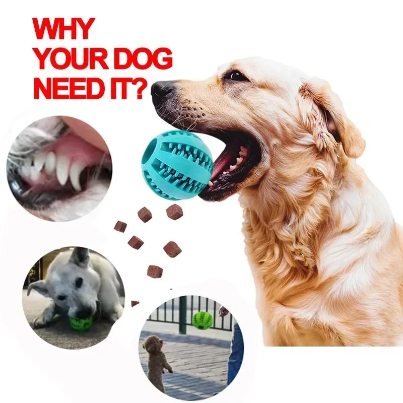 Pelota elástica interactiva para perro, juguete suave de goma superresistente para comida, suministros para mascotas, productos para el hogar y el jardín
