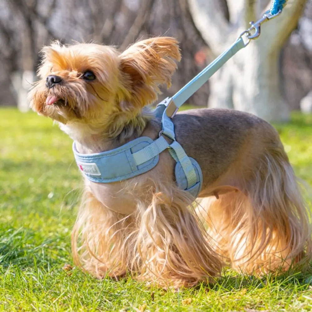 

Adjustable Dog Harness Vest Comfortable Breathable Puppy Chest Strip Prevent Breaking Free Dog Walking Rope Outdoor Walking